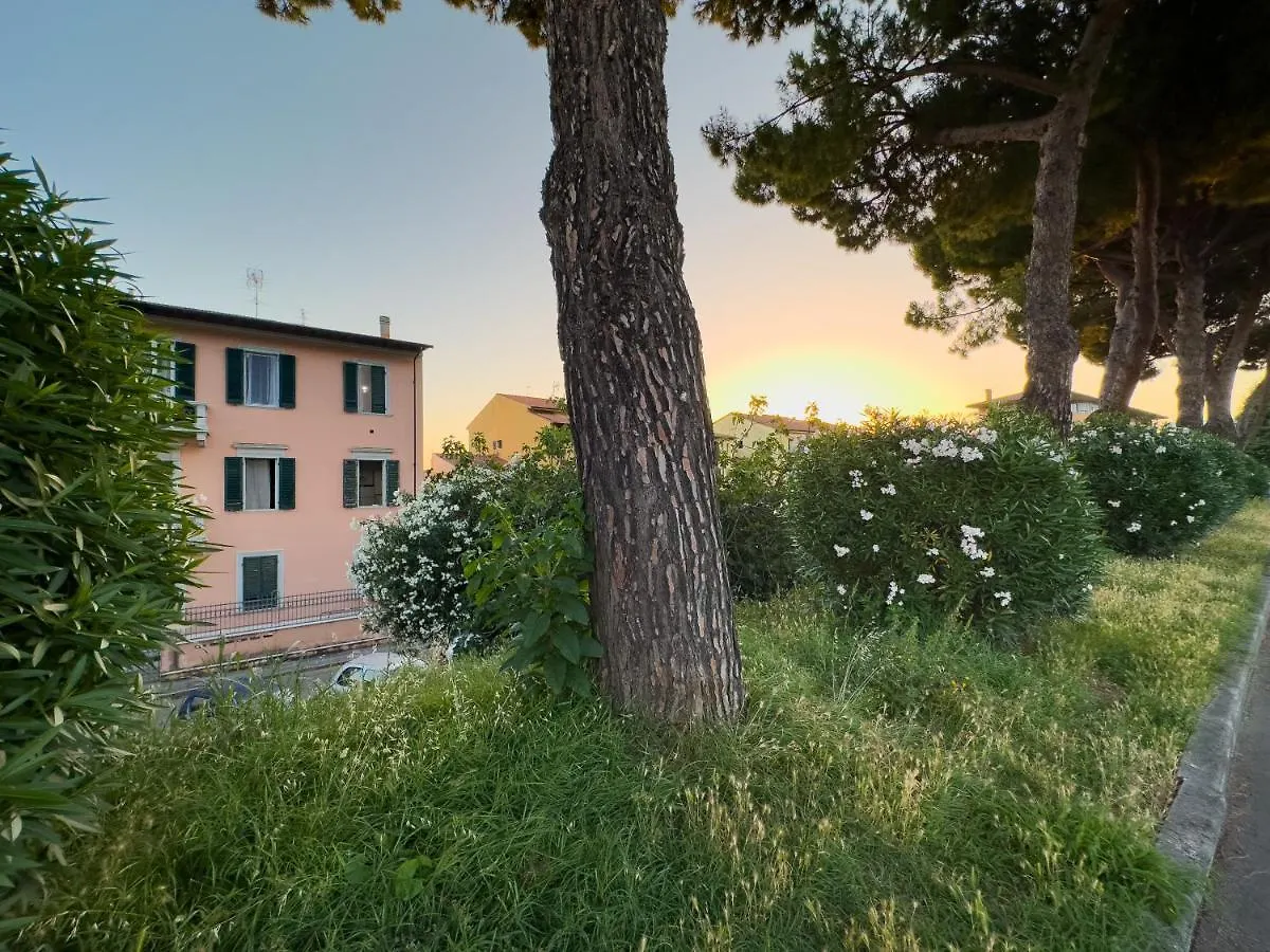 La Casa Di Eli Appartamenti Pisa Italy